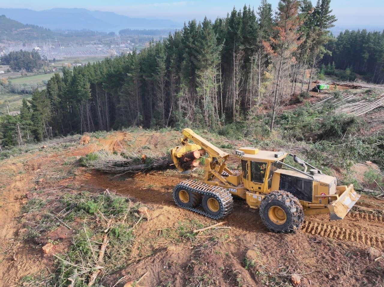 Skidder movilizando rollizos
