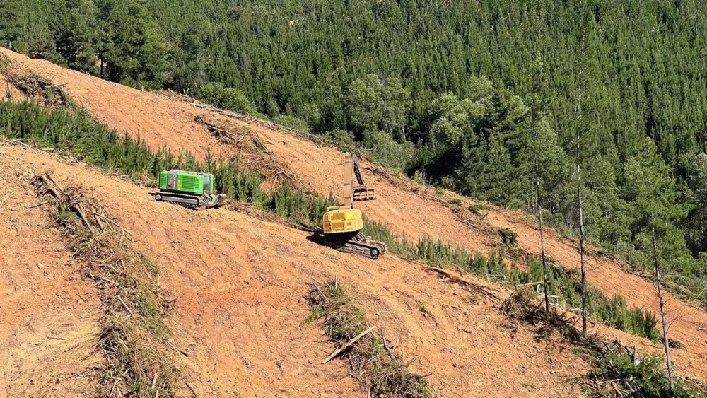 Maquinaria trabajando en una ladera forestal